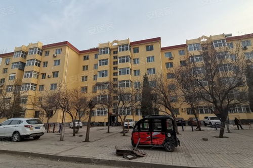 經(jīng)緯廠二生活區(qū)居住體驗(yàn)與周邊房產(chǎn)中介評(píng)價(jià)